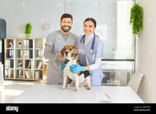 veterinarian examining a dog in a modern veterinary clinic