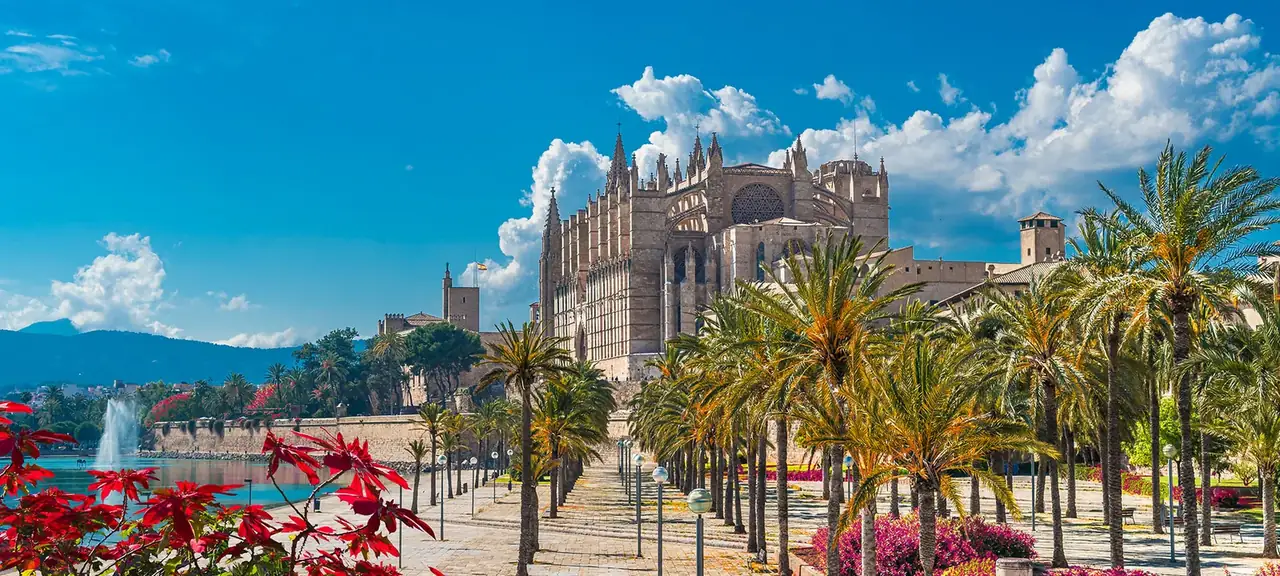 web design agency office with laptop showing a website for businesses in Palma de Mallorca Spain